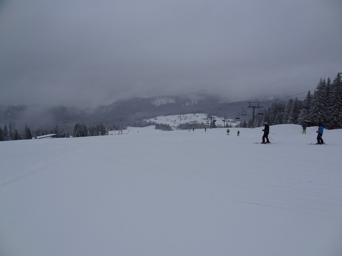 dsc04819dmu6a.jpg