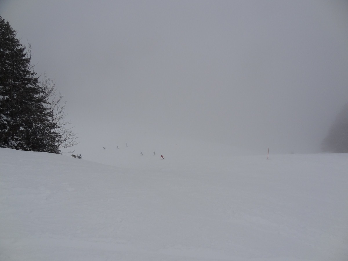 dsc0486808usx.jpg