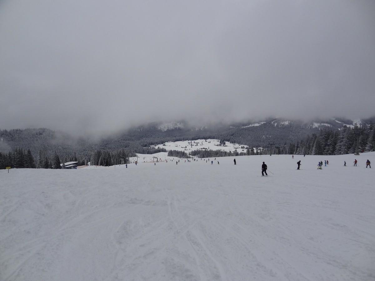 dsc048867sui7.jpg