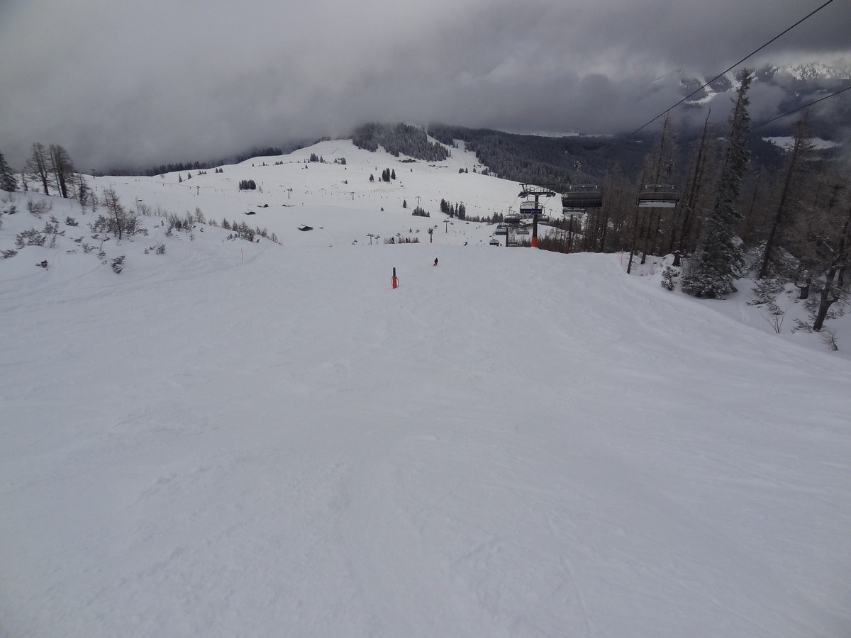 dsc0490720uc1.jpg