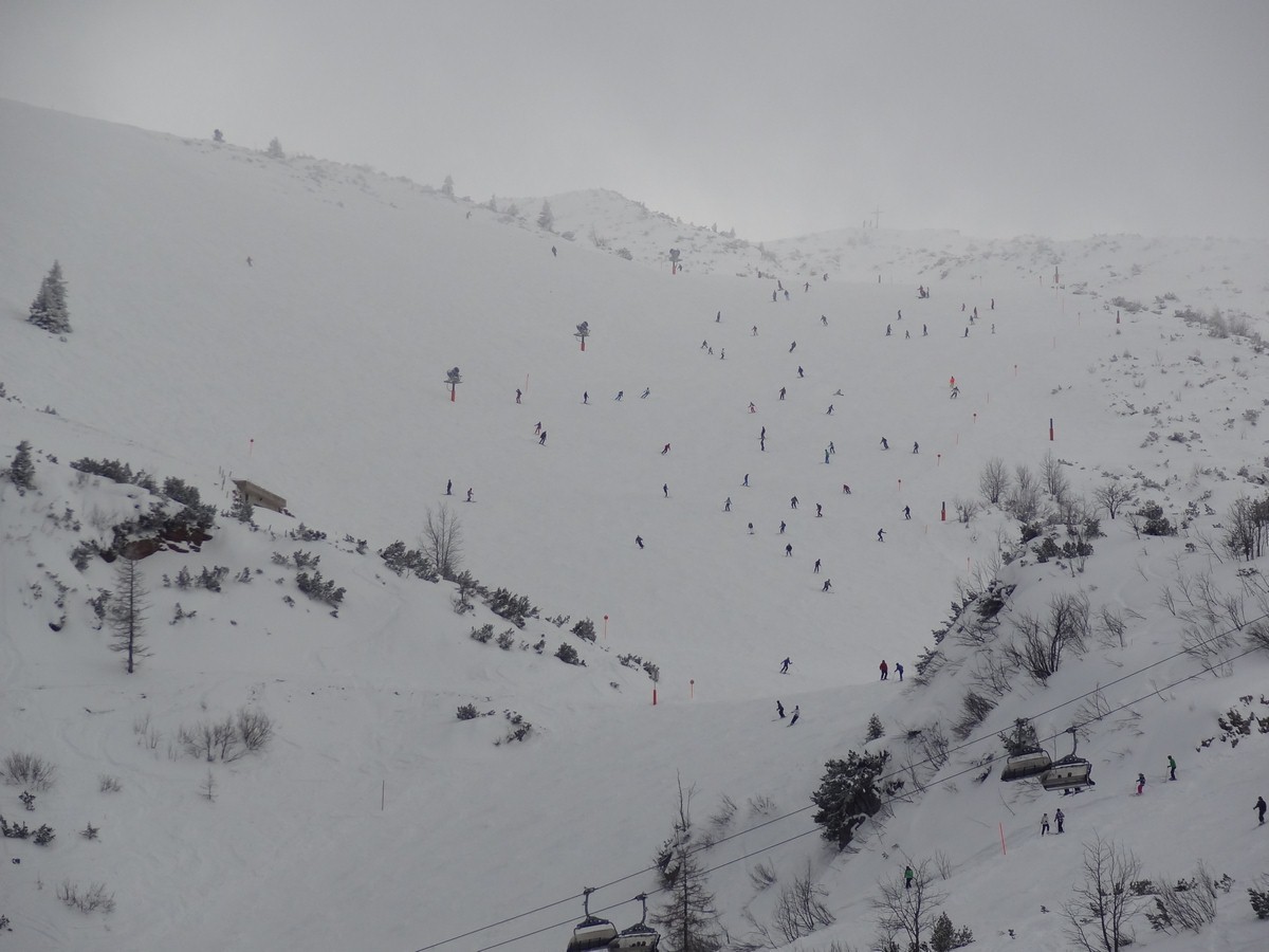 dsc04921c1u5q.jpg