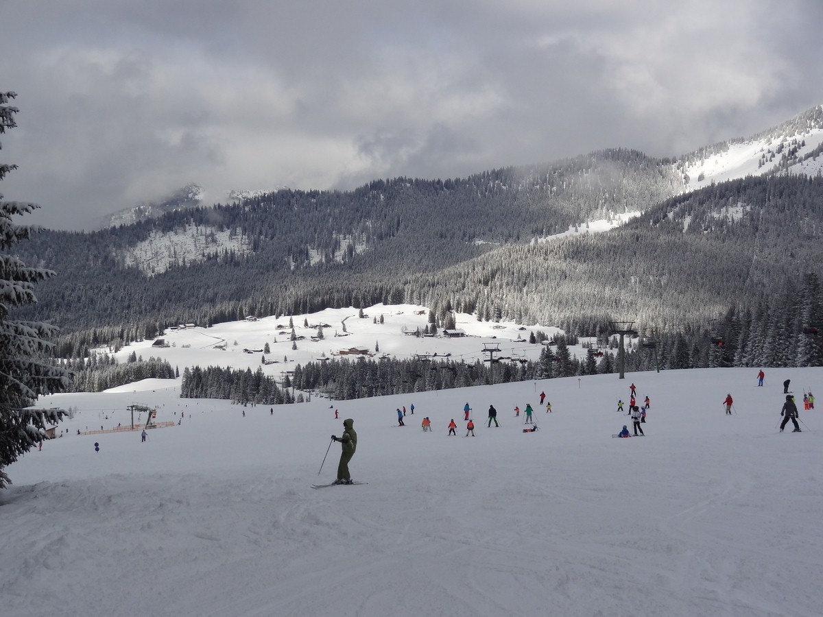 dsc04925dluzb.jpg