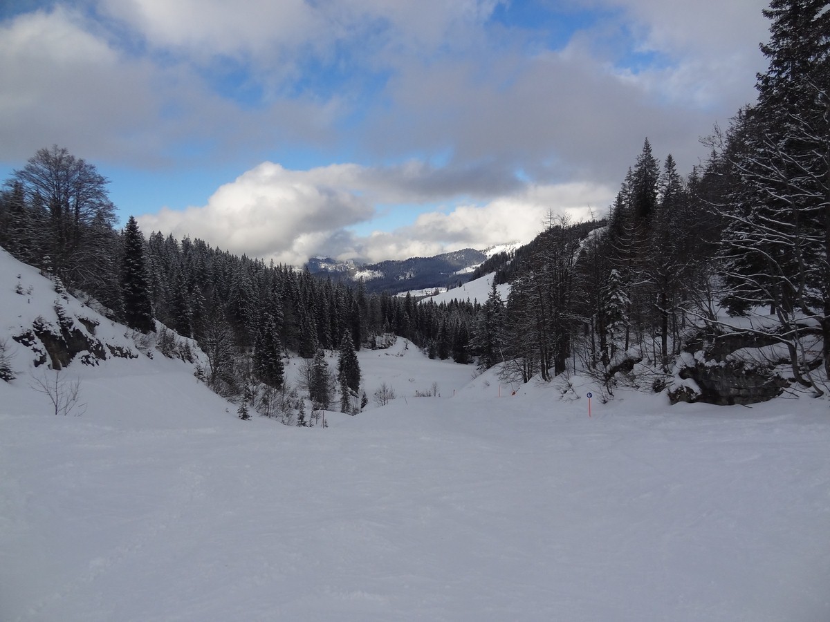 dsc04943qmuim.jpg