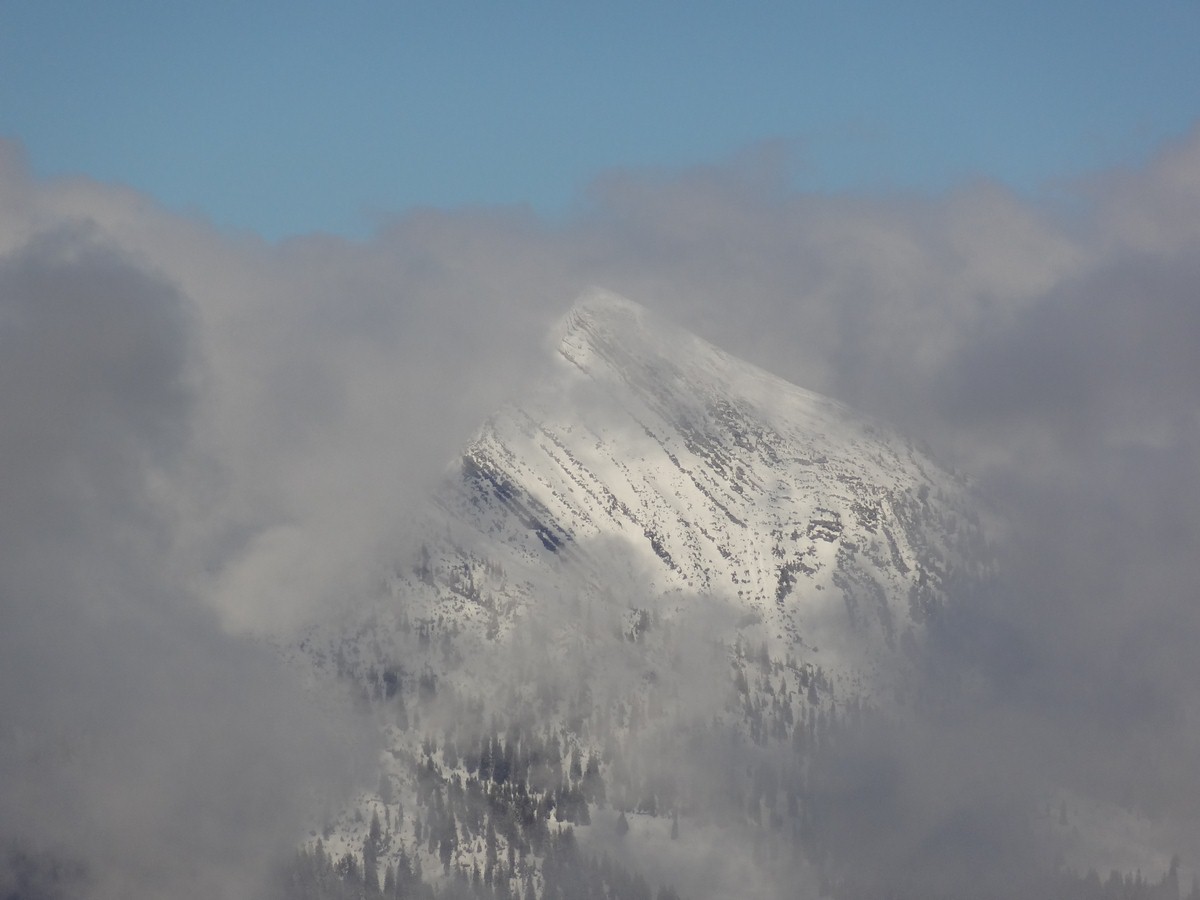 dsc04970jtunl.jpg