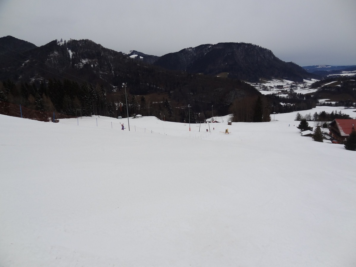 dsc05008vusj7.jpg