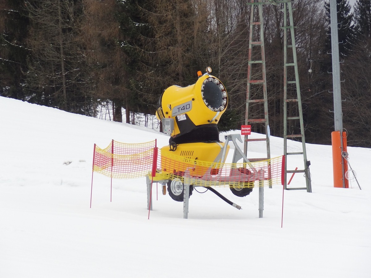 dsc05019glsz3.jpg