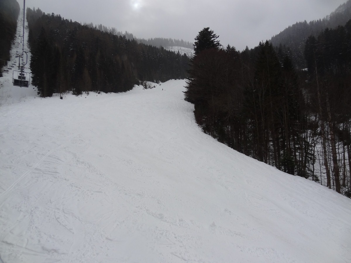 dsc05037uds7b.jpg