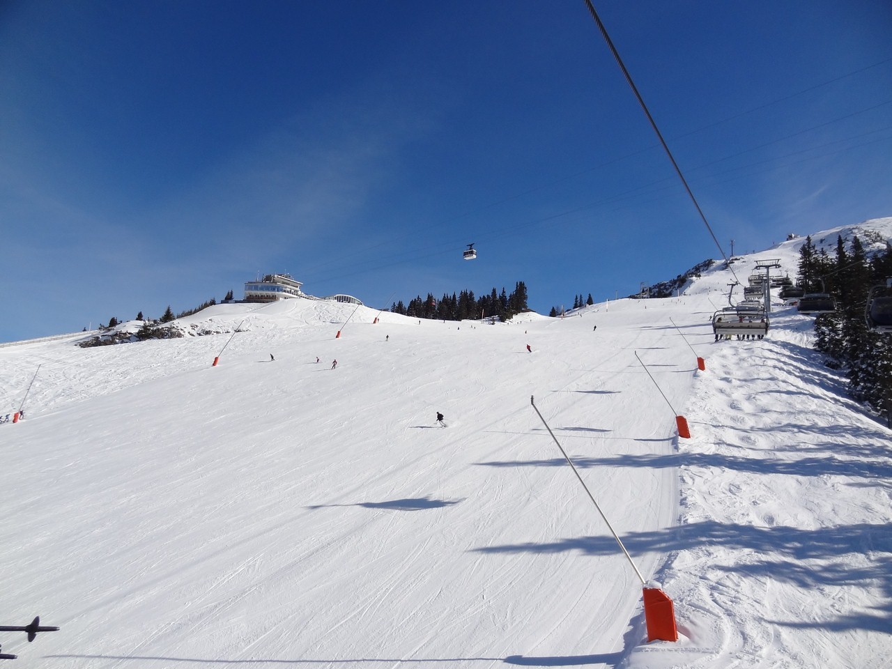 dsc05105fnuzz.jpg