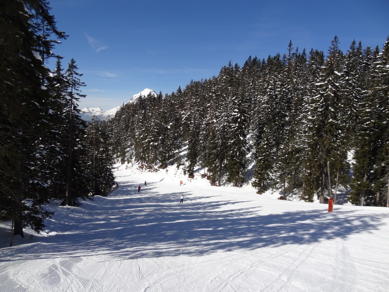 dsc05137evu5d.jpg