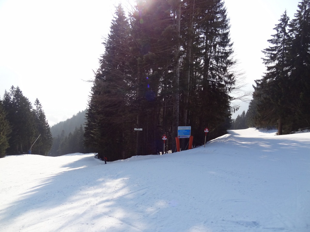 dsc05473mru0u.jpg