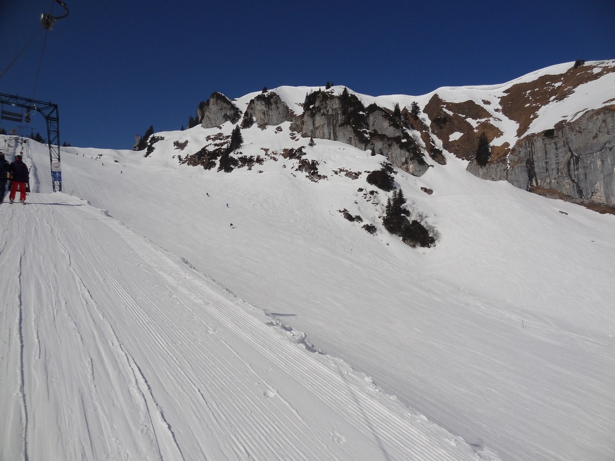 dsc05499fqum4.jpg