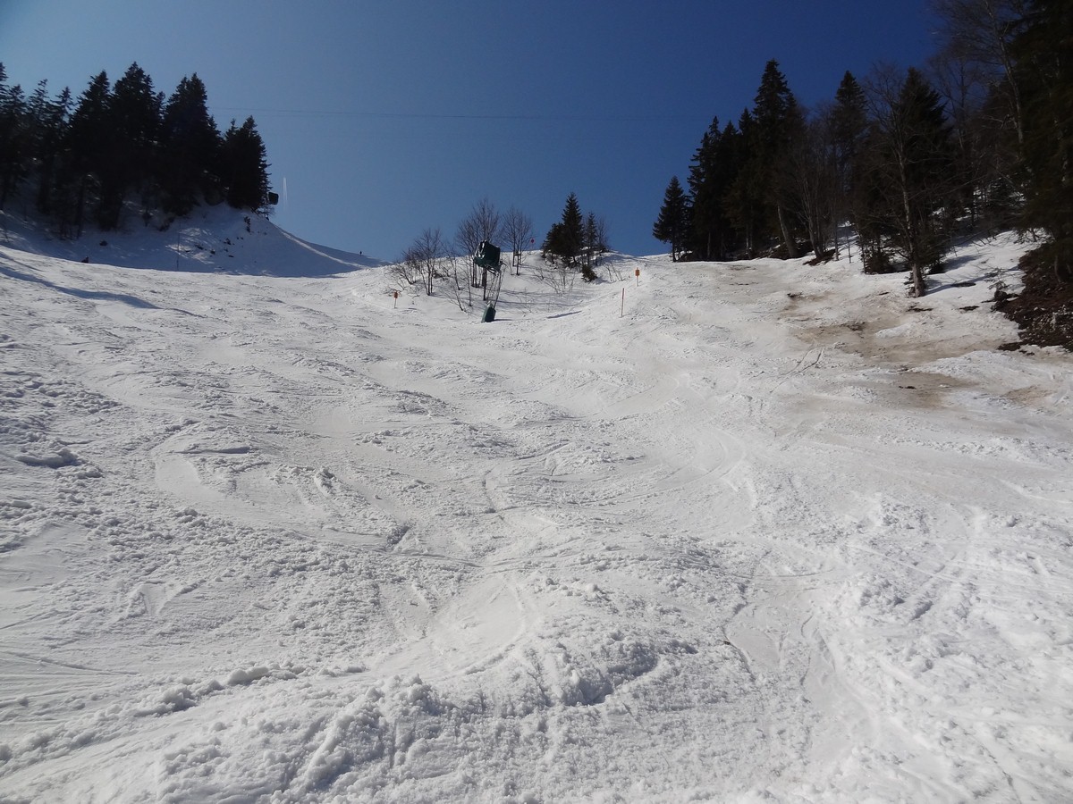 dsc05583bquis.jpg