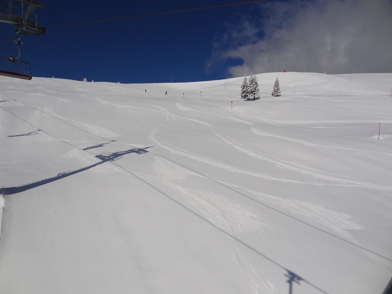 dsc057737vu44.jpg