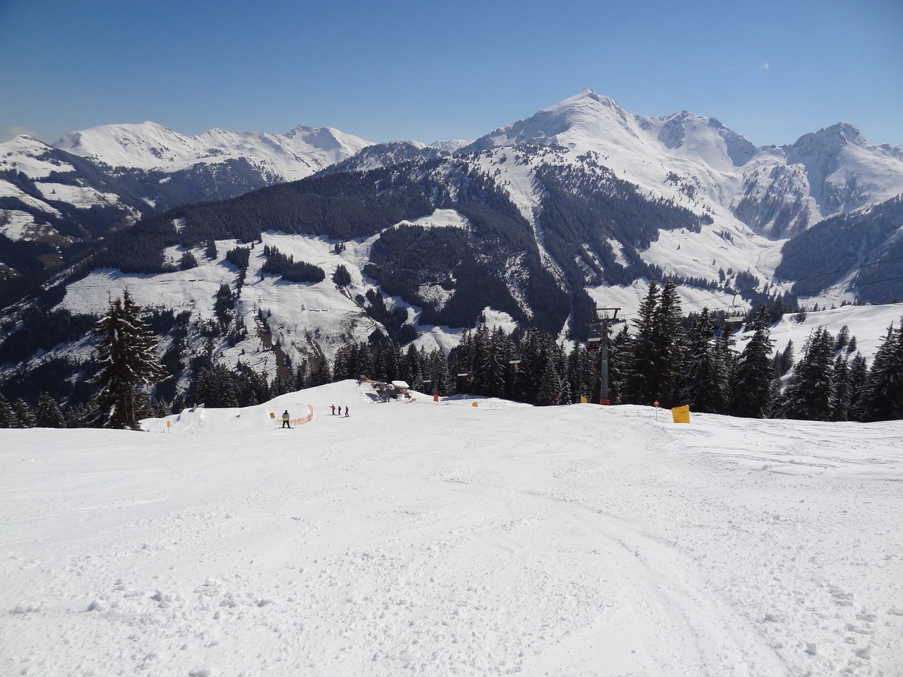 dsc058562mu1q.jpg