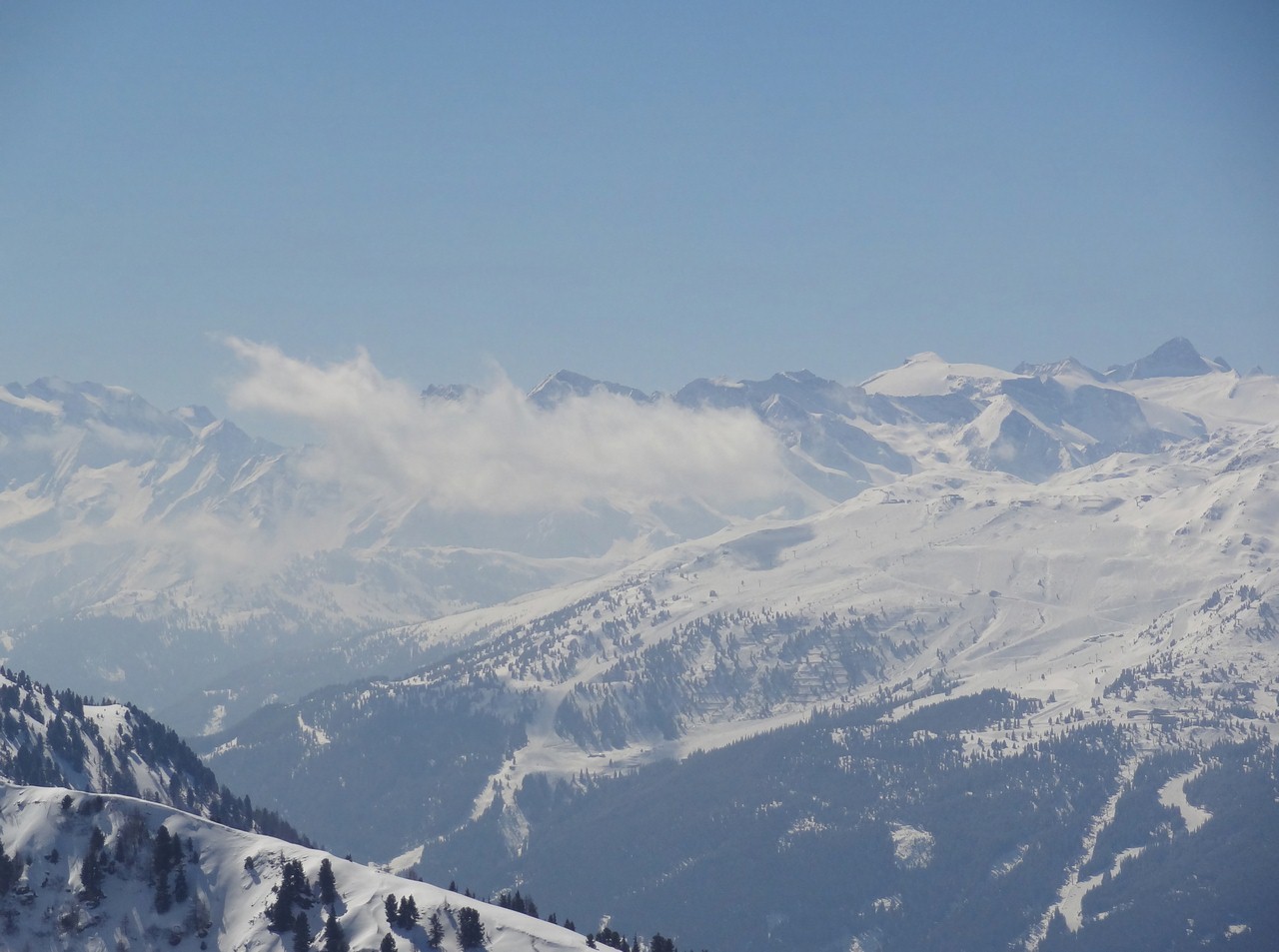 dsc05887_dsc05889_panafud4.jpg
