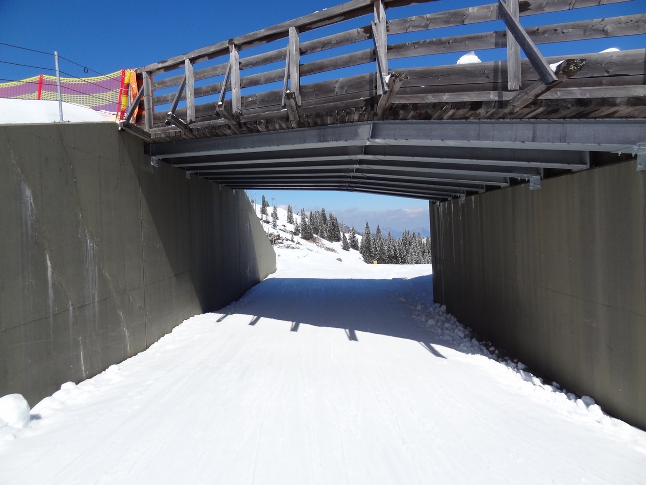 dsc05907nau6c.jpg