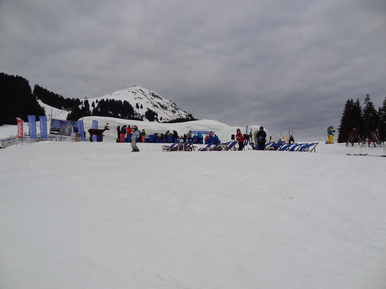 dsc06107hmuiv.jpg