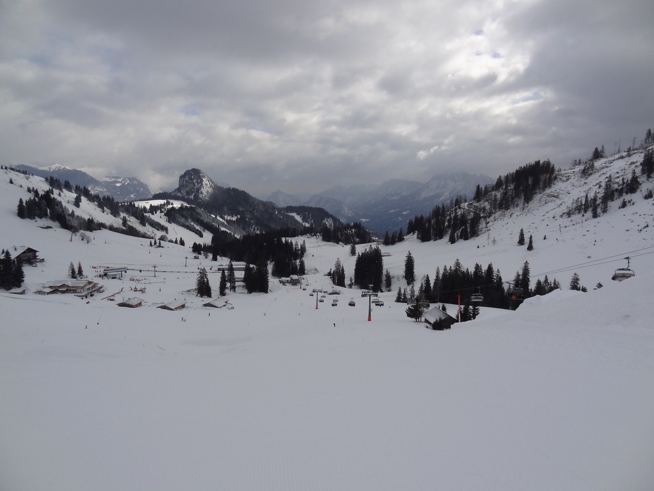 dsc06200bougg.jpg