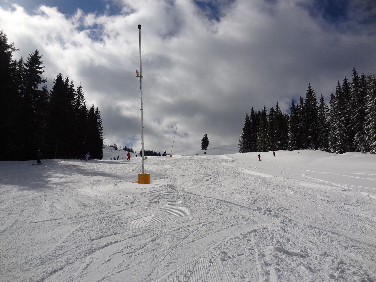 dsc06207c8uz0.jpg