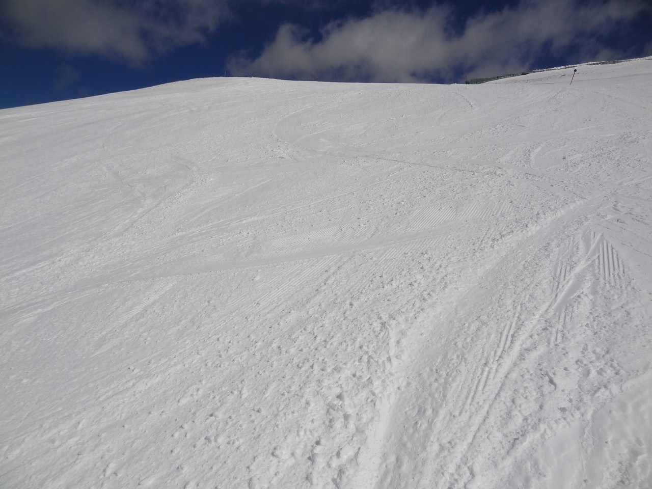 dsc06259c3ux0.jpg