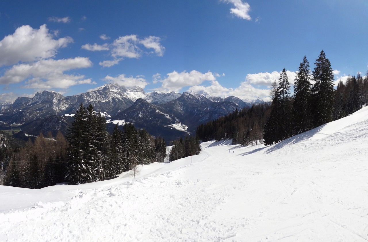 dsc06271_dsc06279_pan0cup1.jpg