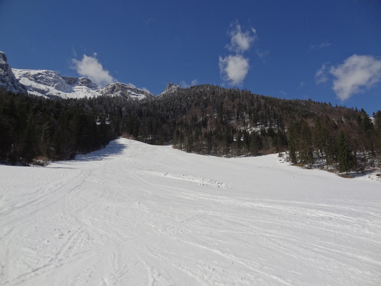 dsc06297lkupd.jpg