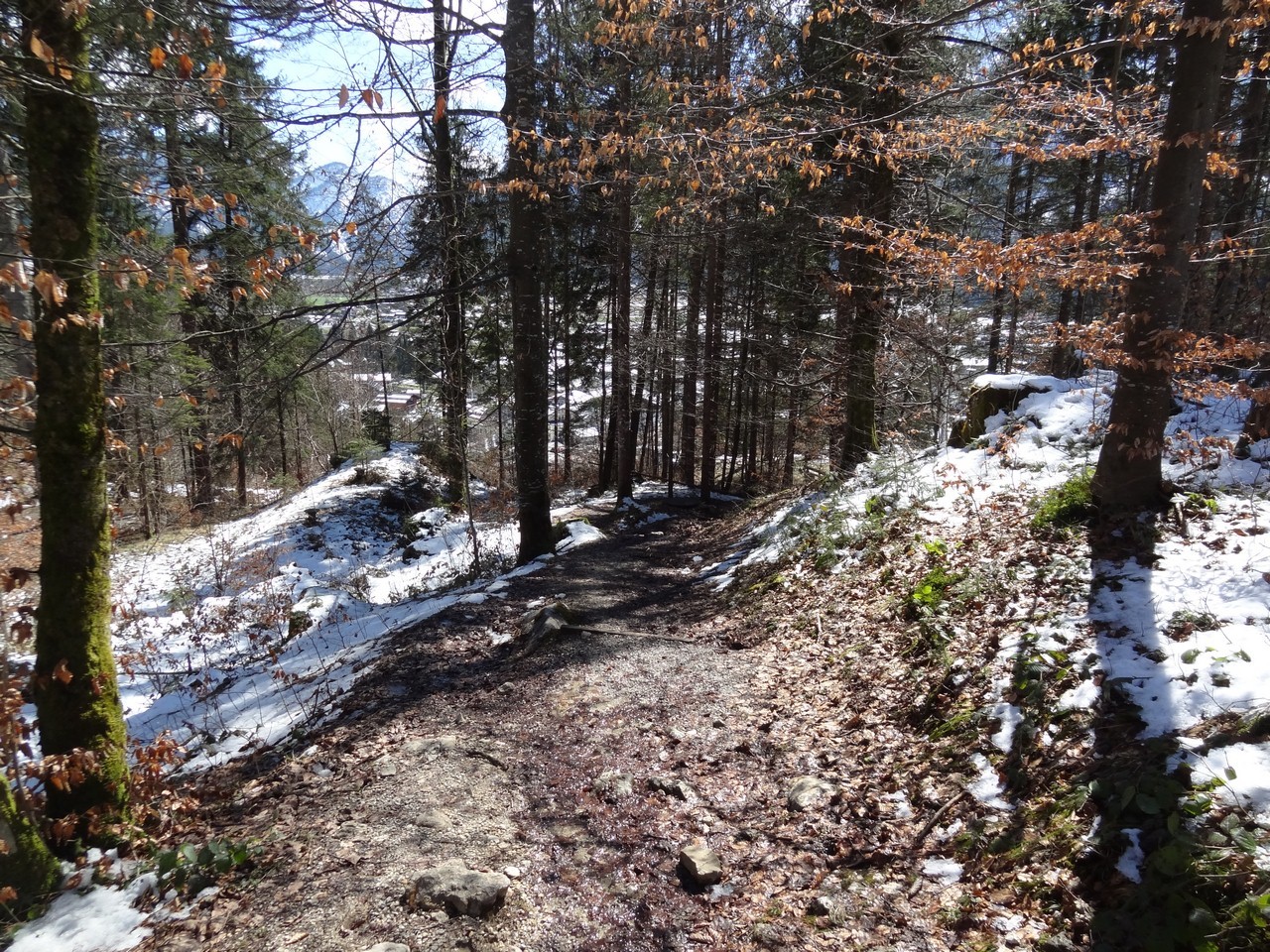 dsc063012rumj.jpg