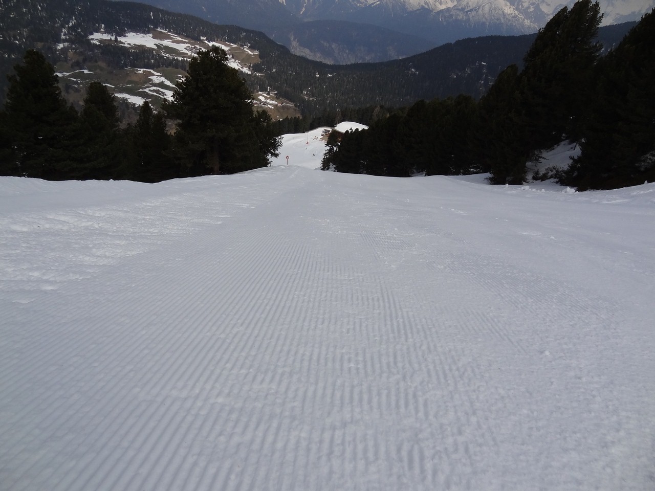 dsc06391vcurc.jpg