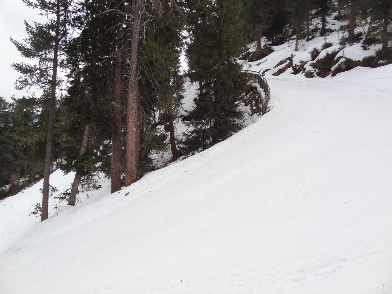 dsc06409a2u3c.jpg