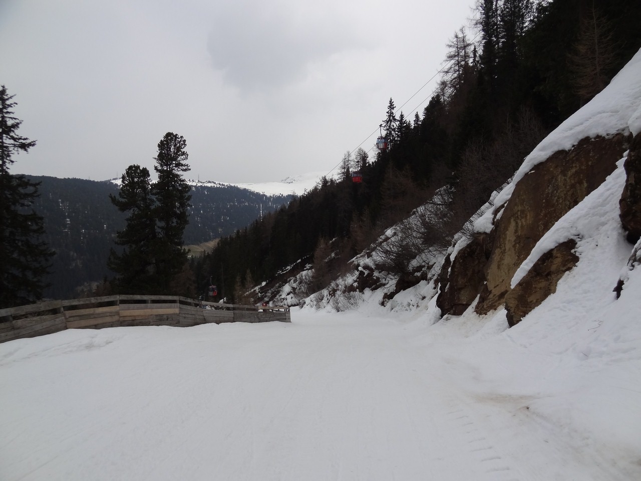 dsc064129cu31.jpg