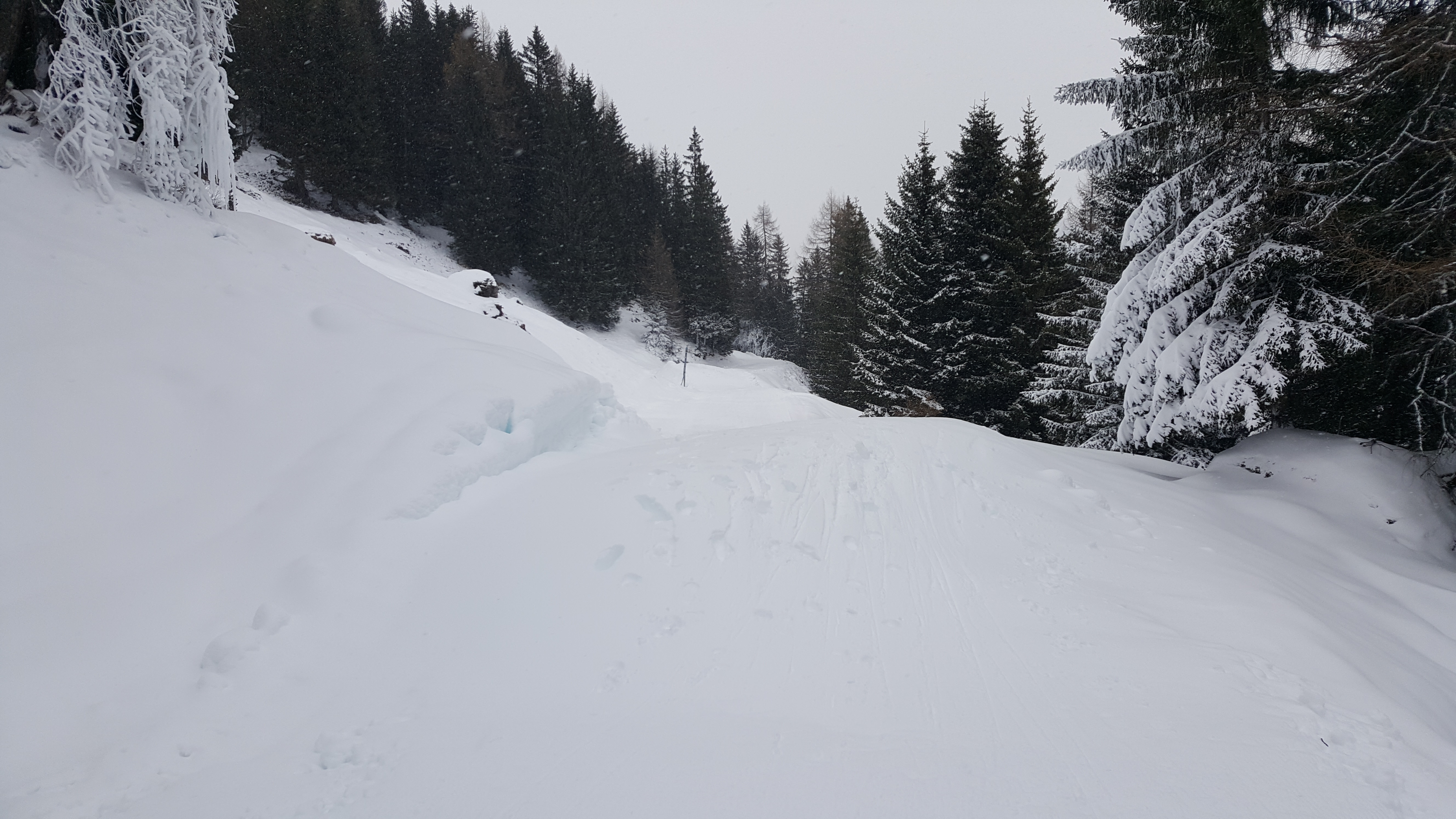 20171120_15295252s0a.jpg