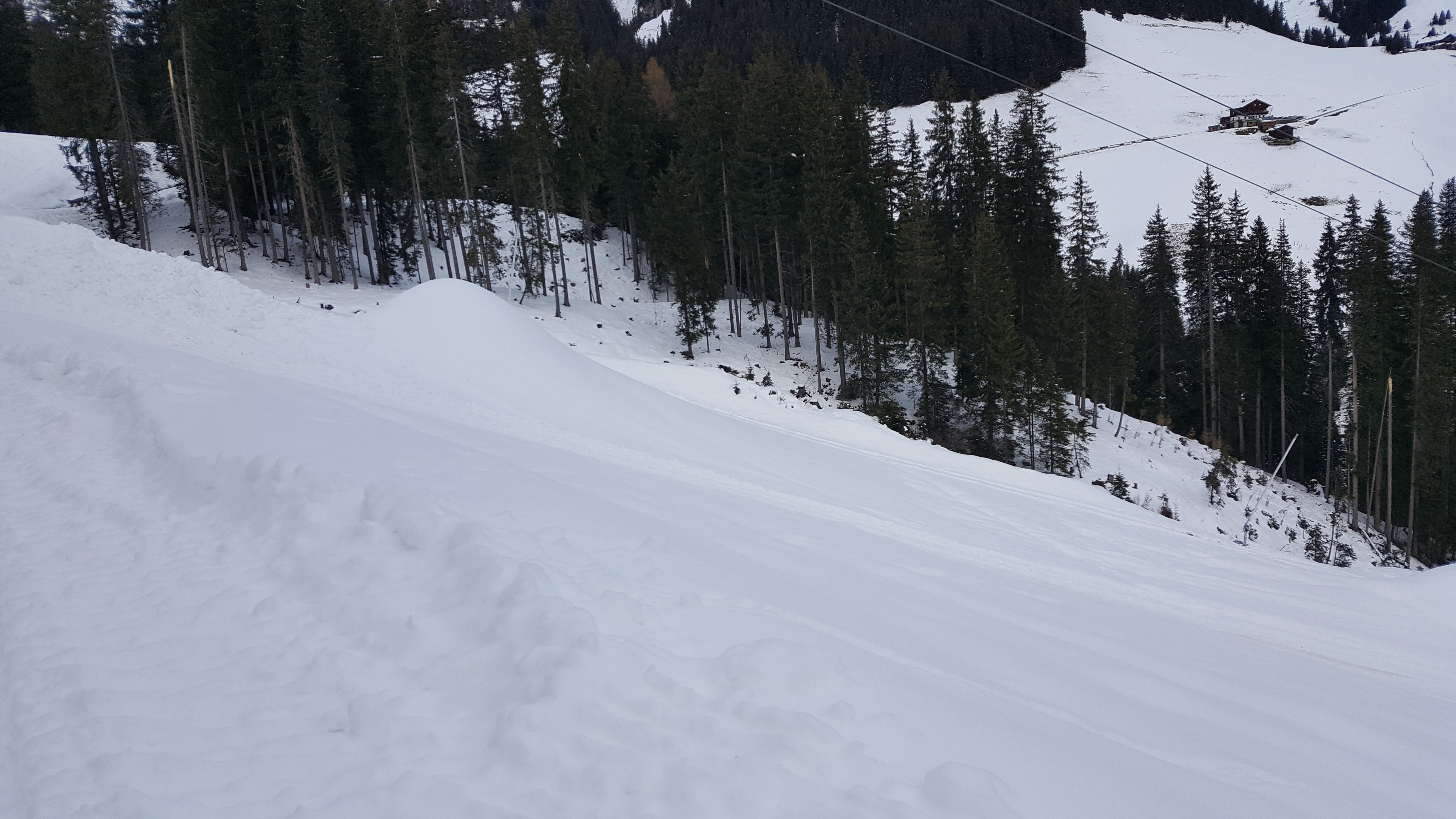 20171121_110045xfs3v.jpg