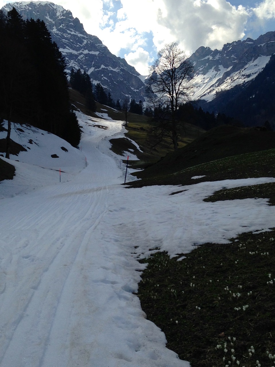 titlis6q2yiy.jpg