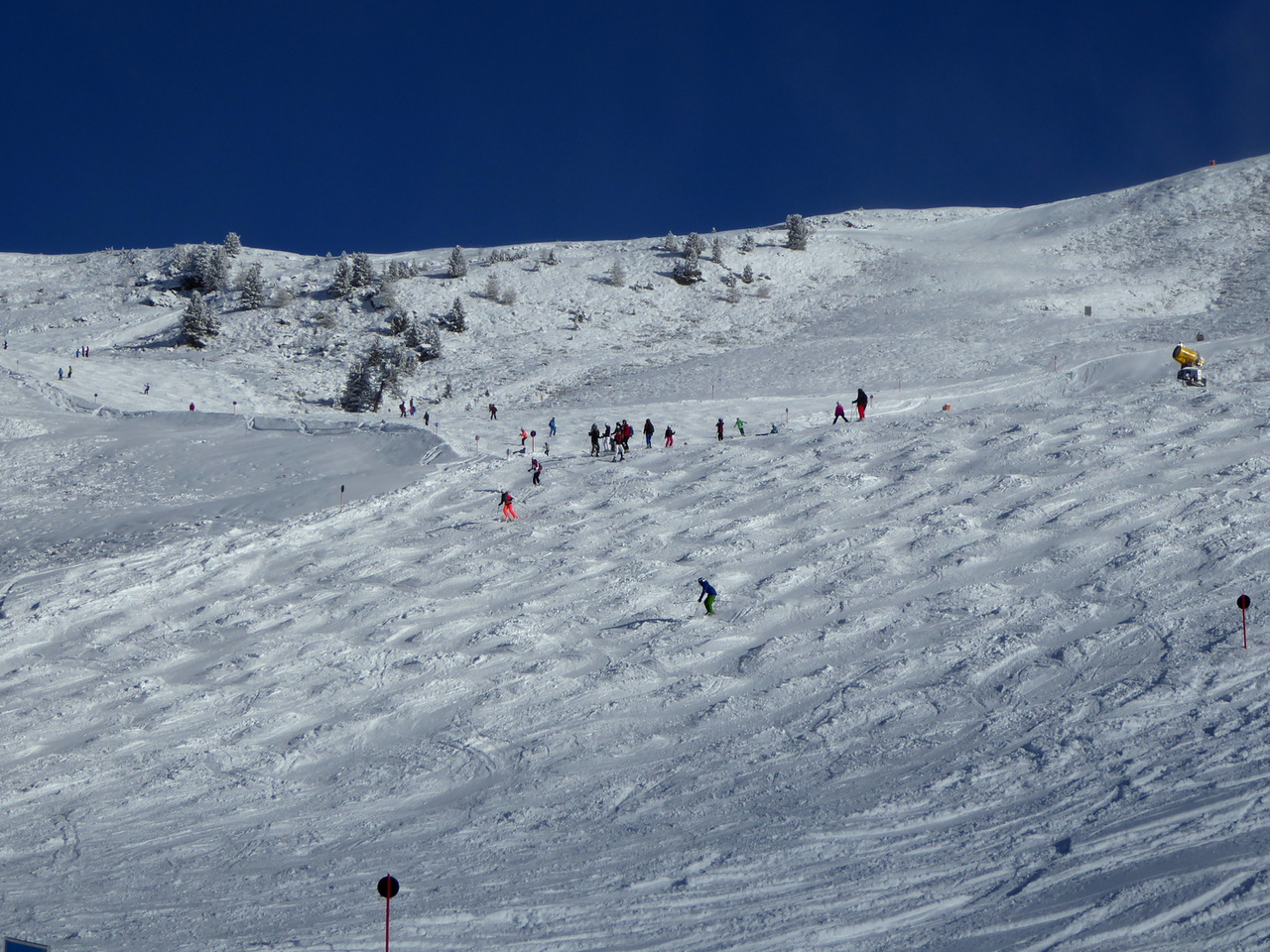 p100036444al8.jpg
