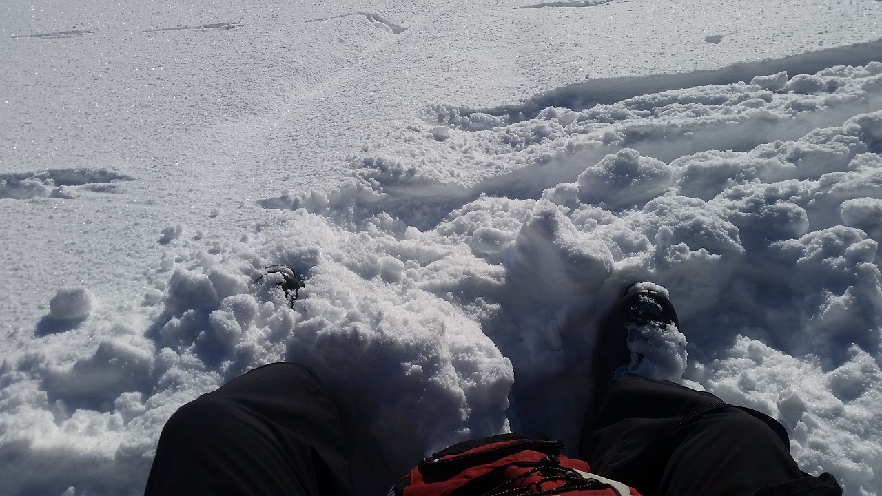 img-20170119-wa0012ayyzrc.jpeg