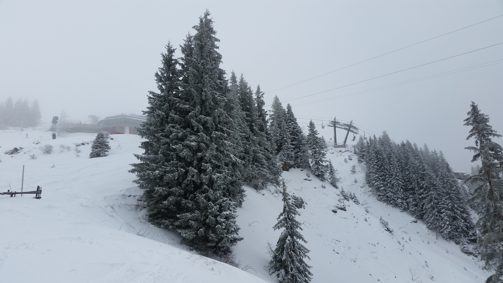 20150104_121109vvudc.jpg