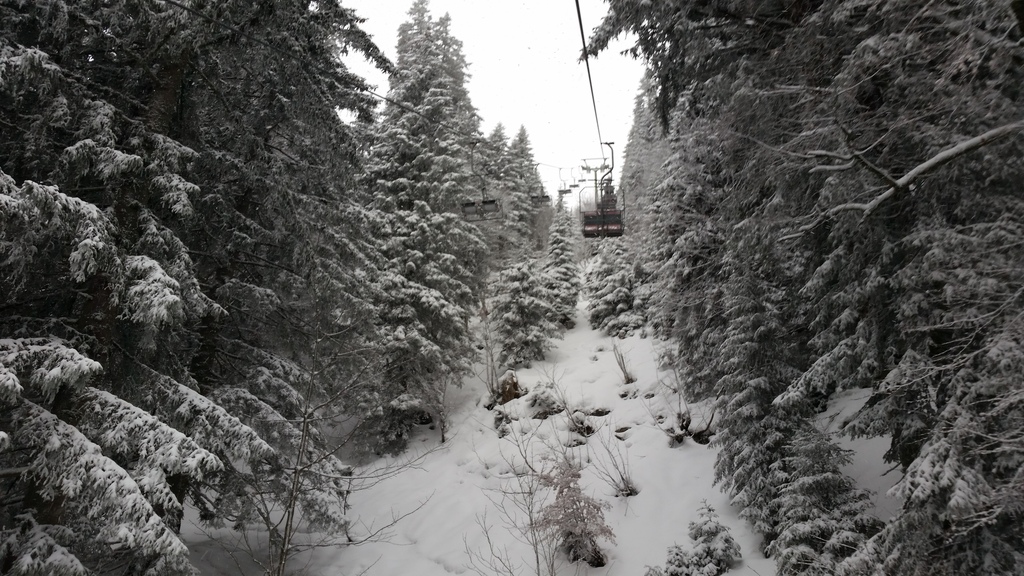 20150104_133450qtuvo.jpg