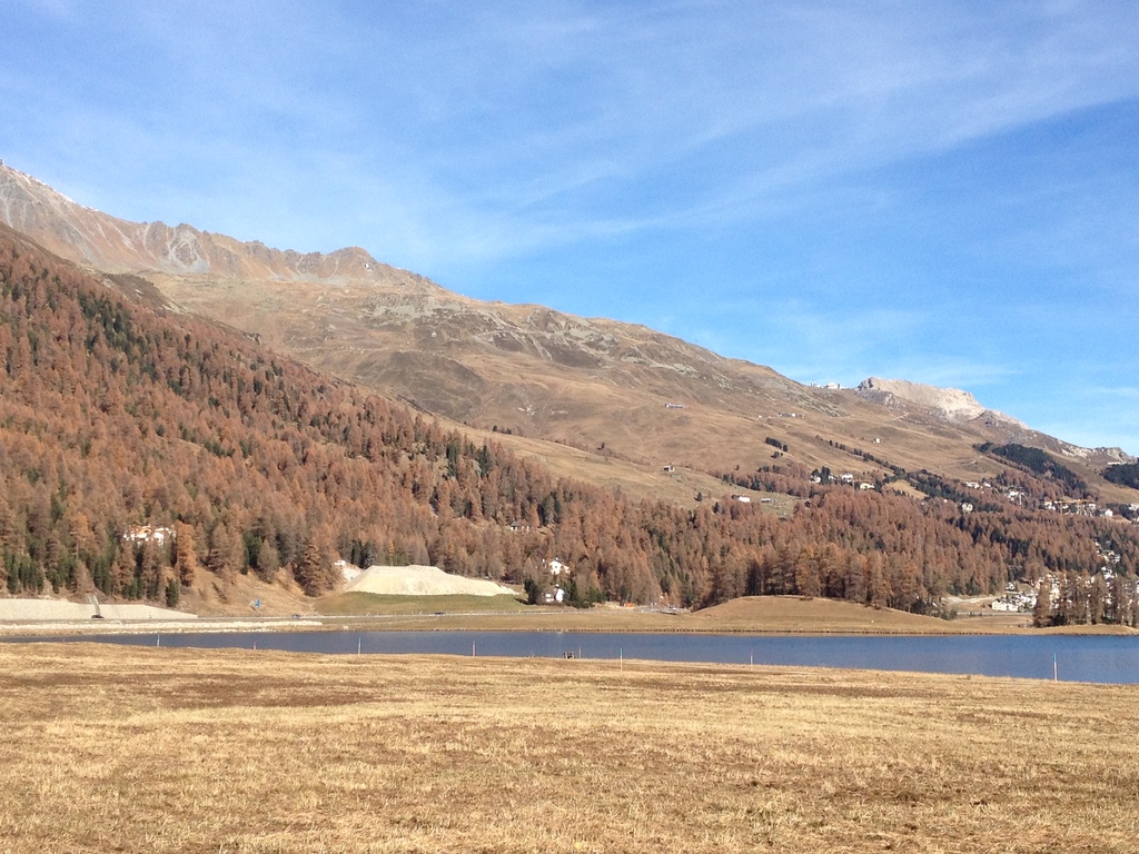 img_3781wdsrj.jpg