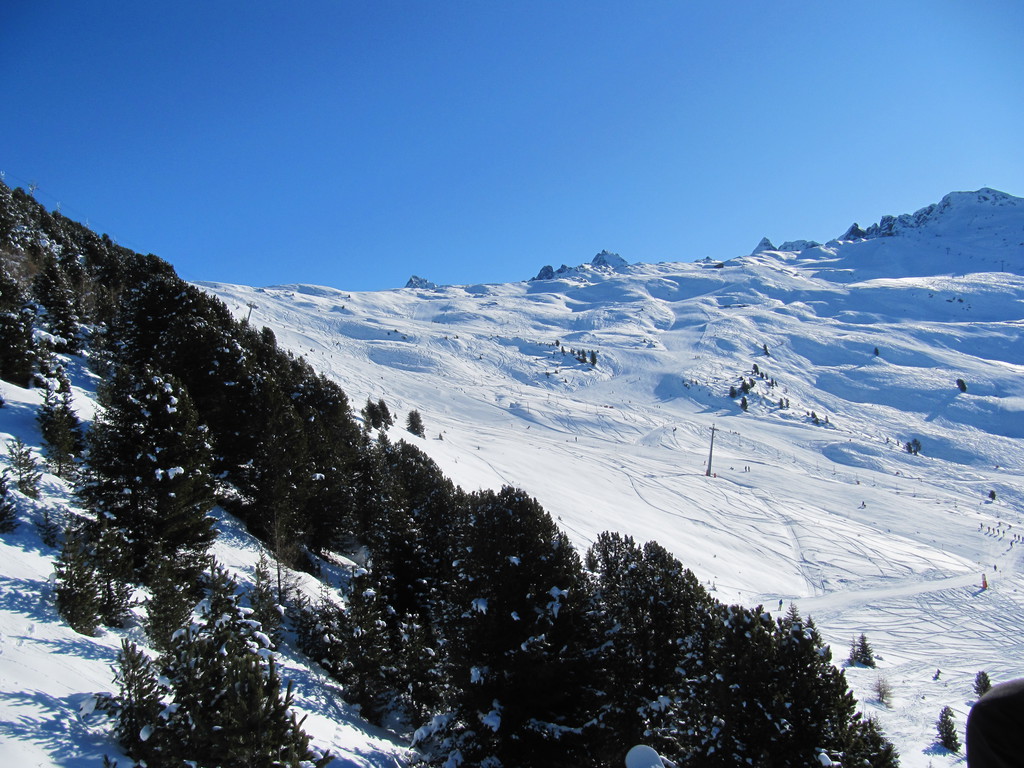 img_7733xqul2.jpg