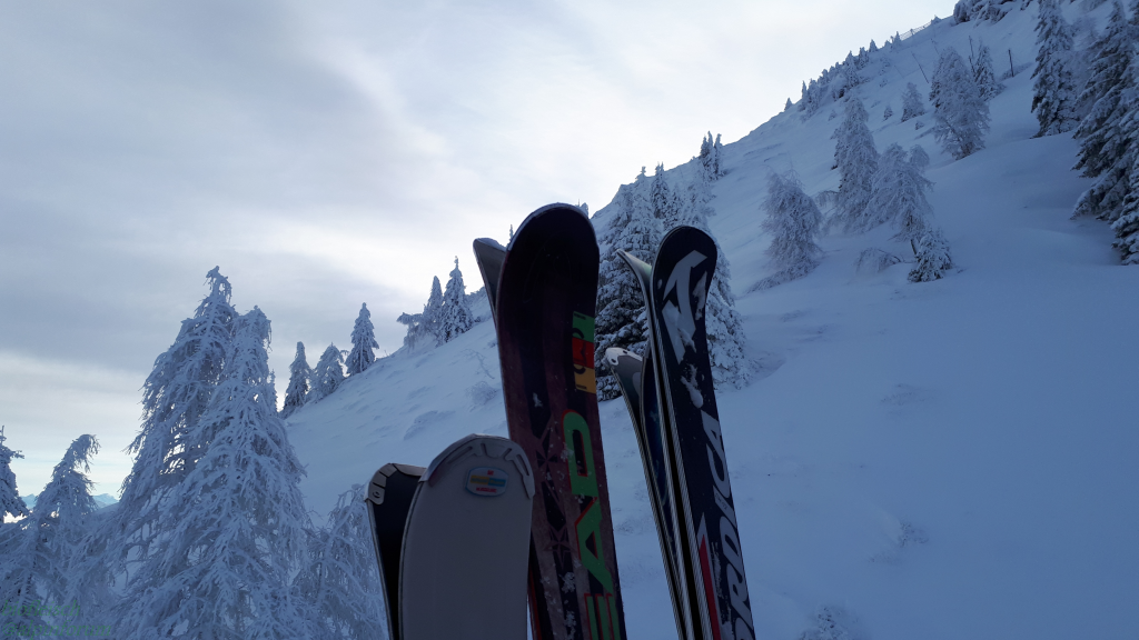 image005jmfer.png