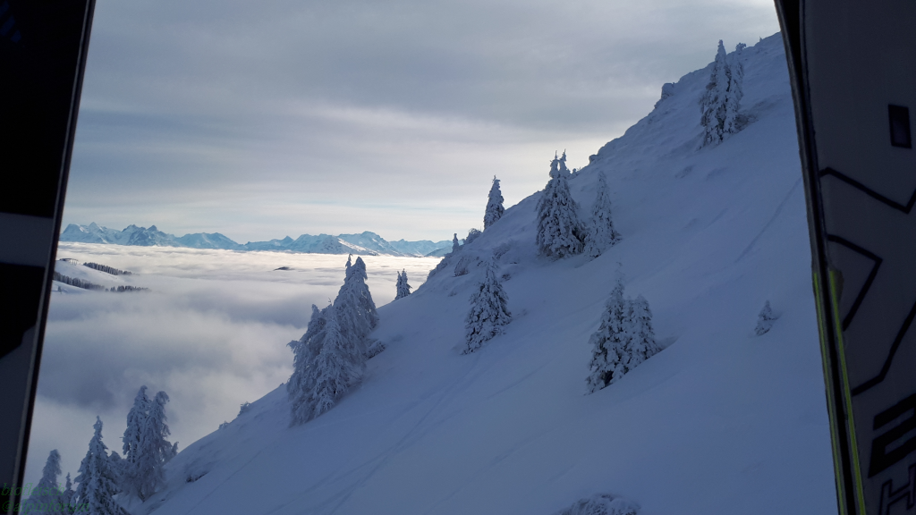 image006rgf6o.png