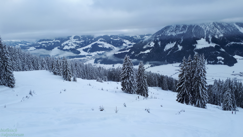 image03070e5y.png