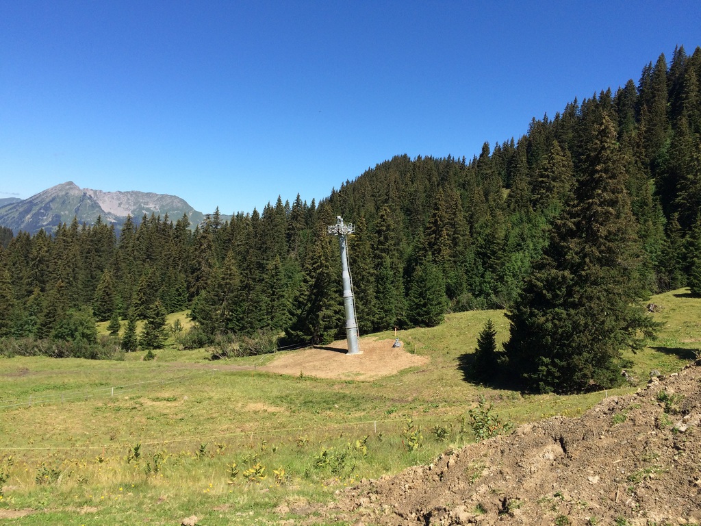 img_0378nosz7.jpg