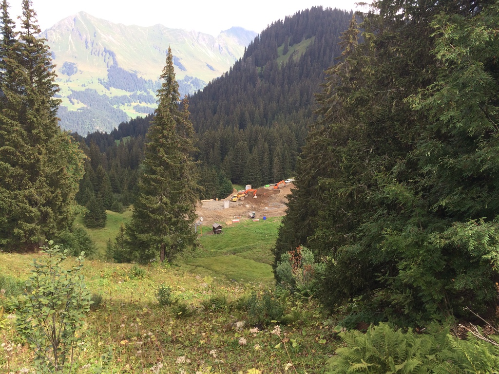 img_0613vzjb1.jpg