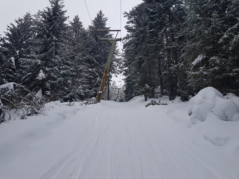 14.imwalde8krj.jpg