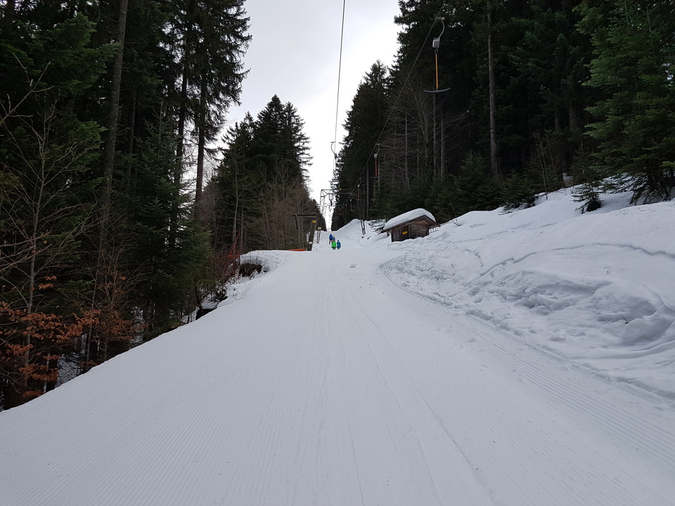 20.trassedurchwaldbei13sc5.jpg