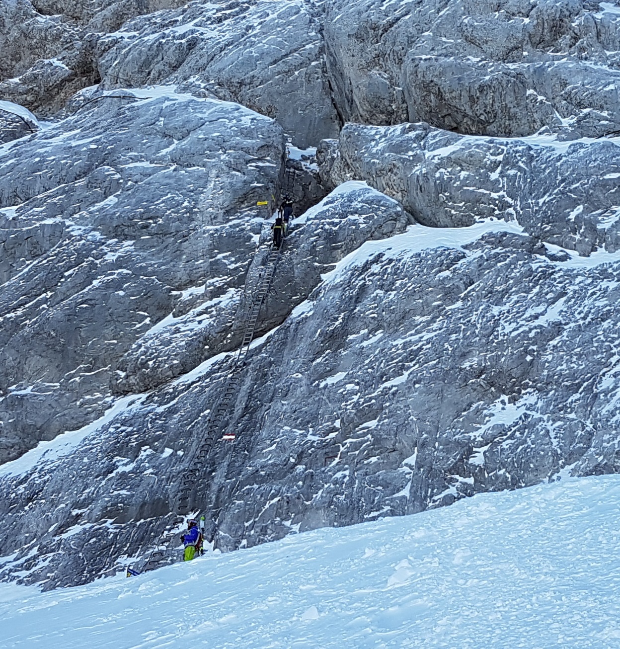 20170211_13501549ofn.jpg