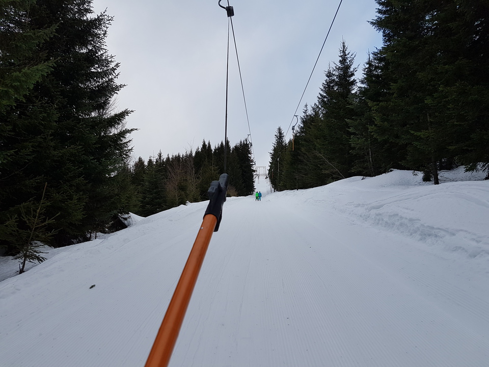 21.trassewald9yscr.jpg