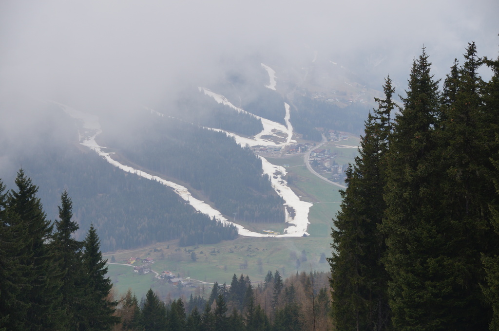 dsc084481ljnv.jpg