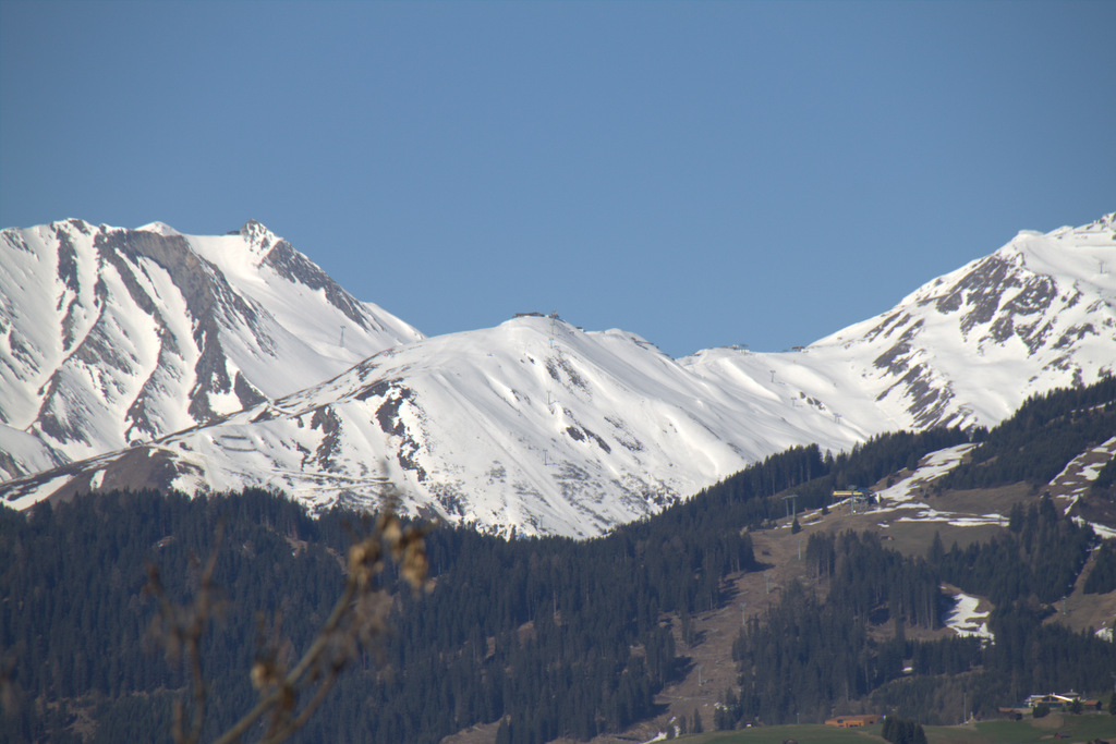 img_4365snud4.jpg